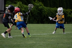 Dawgs-lax-Summer-Slam-2022-16