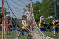 Dawgs-lax-Summer-Slam-2022-36