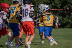 Dawgs-lax-Summer-Slam-2022-8